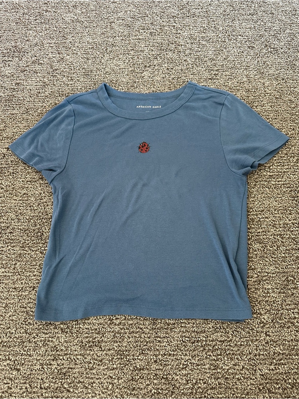 American Eagle Outfitters Slate Blue Short Sleeve Tee with Ladybug Accent